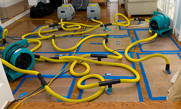 Professional Flood Damage Restoration technician working in Bellevue, KY